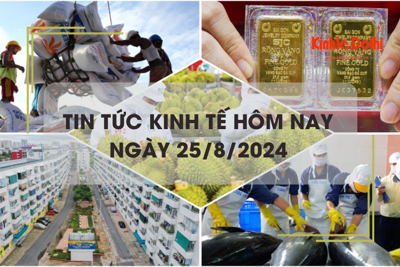 Tin tức kinh tế ngày 25/8: Indonesia mua thêm 350.000 tấn gạo, cơ hội cho gạo Việt