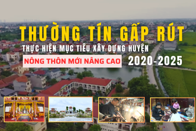 Thường Tín gấp rút thực hiện mục tiêu xây dựng huyện nông thôn mới nâng cao