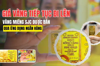 Giá vàng liên tục "phá đỉnh"