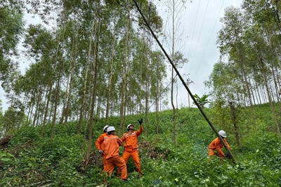 EVNNPC sẵn sàng đảm bảo cung cấp điện dịp nghỉ lễ Quốc khánh 2/9/2024