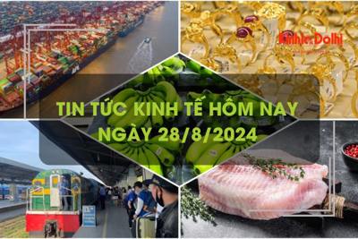 Tin tức kinh tế ngày 28/8: giá cước vận tải biển hạ nhiệt