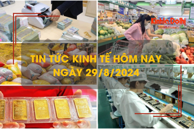 Tin tức kinh tế ngày 29/8: xuất khẩu gạo sẽ thu về 5 tỷ USD