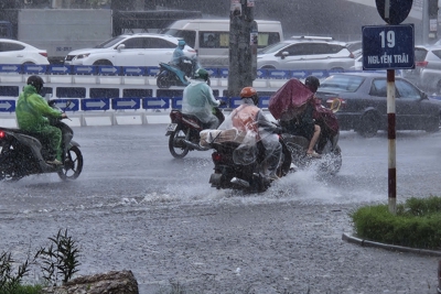 Hà Nội: mưa to, gió lớn gây đổ cây, ngập nhẹ tại một số tuyến phố