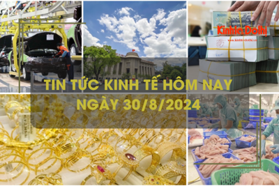 Tin tức kinh tế ngày 30/8: giá vàng nhẫn neo ở ngưỡng cao