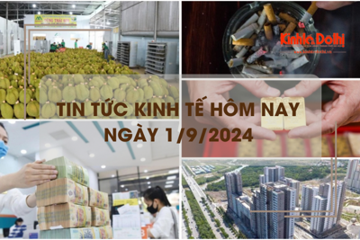 Tin tức kinh tế ngày 1/9: tín dụng bất động sản tiếp tục tăng trưởng tích cực