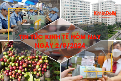 Tin tức kinh tế ngày 2/9: giá cà phê xuất khẩu tăng vọt gần 55% 