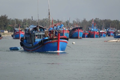 Quảng Ngãi khẩn trương kêu gọi tàu thuyền trú tránh bão Yagi