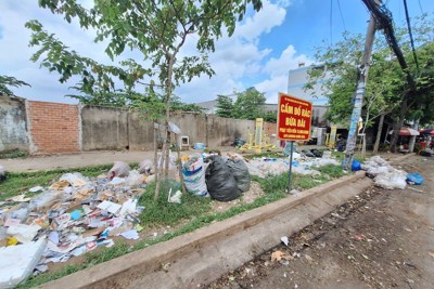 Ô nhiễm nghiêm trọng xung quanh chợ đầu mối nông sản, thực phẩm Hóc Môn