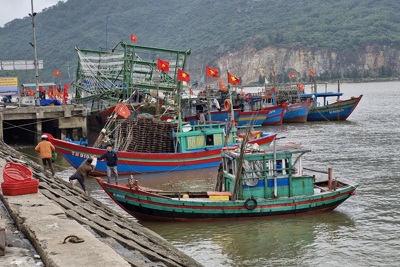 Hà Tĩnh: hơn 3.000 tàu thuyền vào nơi tránh trú an toàn