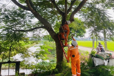 Tổng công ty Điện lực miền Bắc sẵn sàng các phương án phòng chống bão Yagi