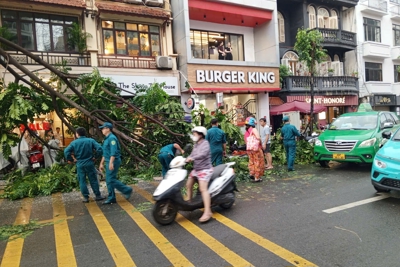 Tây Hồ tổng lực ứng phó với bão số 3