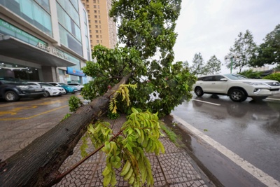 Cơn bão số 3 quét qua Hà Nội, gây thiệt hại lớn