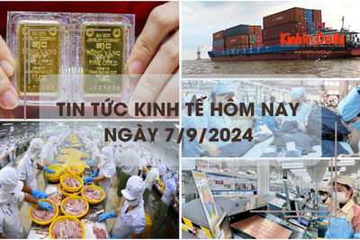 Tin tức kinh tế ngày 7/9: chỉ số giá vàng 8 tháng tăng hơn 25%