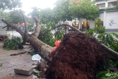 Vĩnh Phúc: xả tràn hồ Đại Lải chủ động ứng phó trước diễn biến mưa bão