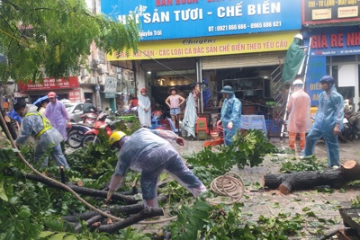 Hà Nội di dời hơn 200 người dân khu vực nguy hiểm tránh bão