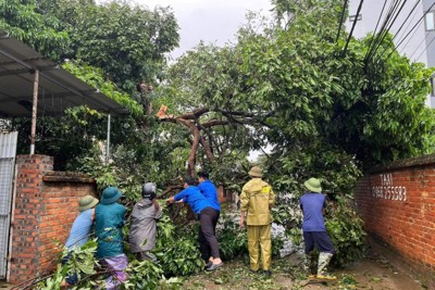 Huyện Mỹ Đức: đảm bảo đời sống của người dân sau mưa bão