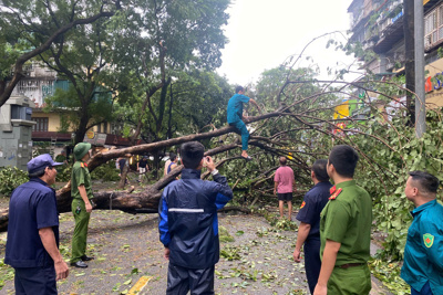 Quận Ba Đình: khẩn trương khắc phục hậu quả do bão số 3