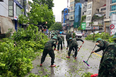 Hà Nội tập trung giải tỏa cây xanh gãy, đổ xong trước ngày 12/9/2024