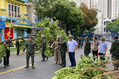 Hà Đông: hơn 730 cây xanh gãy đổ, nhiều khu vực ngập úng