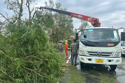 Hải Phòng, Hải Dương, Quảng Ninh huy động toàn lực lượng khắc phục sau bão