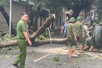 Mặt trận Tổ quốc Việt Nam kêu gọi ủng hộ đồng bào thiệt hại do bão