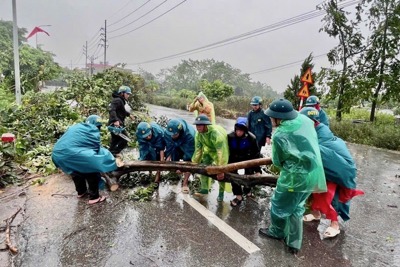 Rốt ráo khắc phục hậu quả bão số 3 tại huyện Sóc Sơn, Phúc Thọ