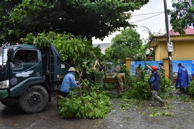 Ninh Bình: khắc phục hậu quả sau bão số 3