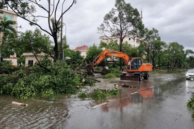 Bắc Ninh: tập trung chỉ đạo khắc phục hậu quả sau cơn bão số 3