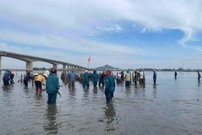 Hà Tĩnh: tháo dỡ “ma trận” cọc bê tông nuôi hàu trái phép trên sông Rác