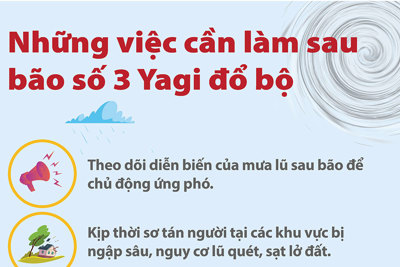 Những việc cần làm sau bão số 3 đổ bộ