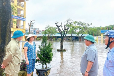 Lãnh đạo huyện Thanh Trì kiểm tra tình hình sản xuất sau mưa bão