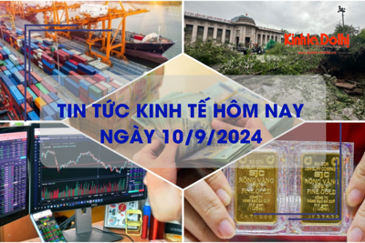 Tin tức kinh tế ngày 10/9: lãi suất cho vay giảm nhẹ