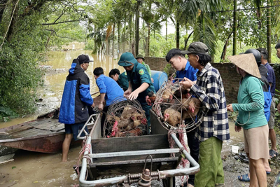 Đan Phượng: khẩn trương hỗ trợ người dân di dời khỏi vùng ngập úng