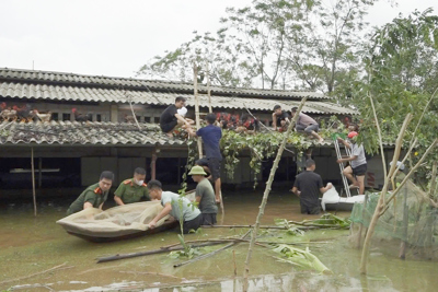 Ba Vì: chính quyền giúp dân di dời vật nuôi, hoa màu khỏi nơi ngập úng