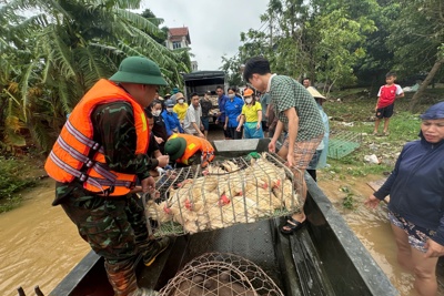 Mê Linh di dời người và tài sản tại các bãi sông đến nơi an toàn