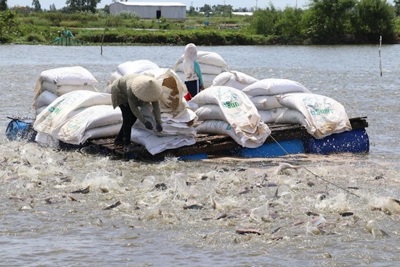 Giảm phát thải nhà kính trong nuôi trồng thủy sản là vấn đề cấp bách