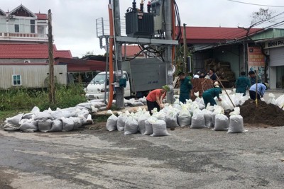 Hải Phòng: Thông tin vỡ một số tuyến đê ở Tiên Lãng là sai sự thật