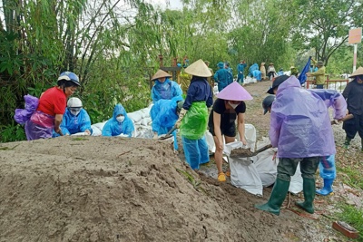 Hà Nội: Hội viên phụ nữ cùng gia cố đê, hỗ trợ người dân chạy lũ