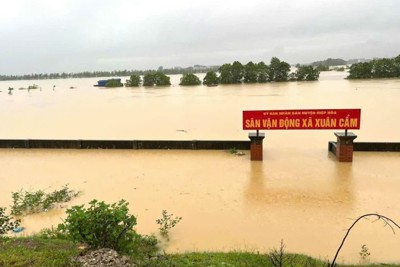 Hiệp Hòa tăng cường ứng phó với mưa lũ, bảo đảm an toàn đê điều 