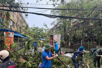 Hàng trăm tình nguyện viên hỗ trợ TP Hải Phòng khắc phục sau bão