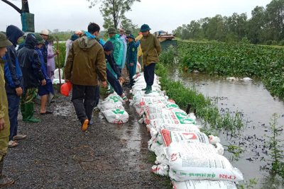 Huyện Thường Tín và Phú Xuyên tập trung ứng phó lũ lớn trên các tuyến sông