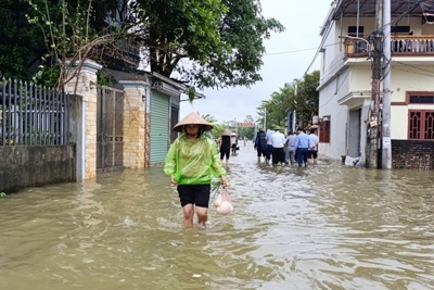 Bảo đảm phục hồi sớm nhất sản xuất, sinh hoạt của người dân sau bão