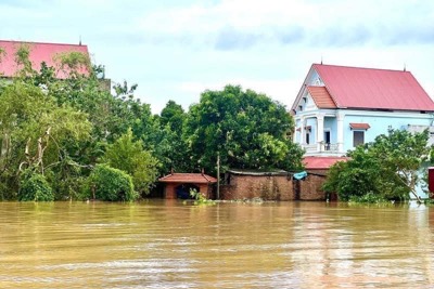 Huyện Sóc Sơn: sơ tán khẩn cấp người dân 13 xã khỏi vùng ngập lụt