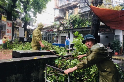 Hà Nội: tăng cường công tác kiểm tra, rà soát, khắc phục hậu quả sau bão