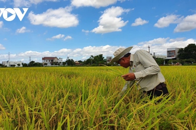 Nông sản của Việt Nam đã có trên nhiều quầy kệ siêu thị ở Châu Âu