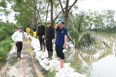 Thanh Oai: huy động tối đa lực lượng kịp thời gia cố kênh Yên Cốc 