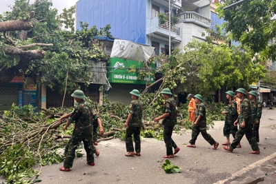 Hải Phòng: huy động 300 cán bộ, chiến sĩ cùng ra quân thu gom cây đổ