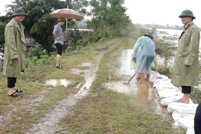 Huyện Mỹ Đức: ứng trực thường xuyên để kịp thời xử lý sự cố đê điều