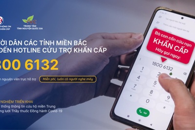 Ra mắt Tổng đài tiếp nhận thông tin cứu trợ khẩn cấp 18006132