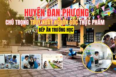 Huyện Đan Phượng chú trọng truy xuất nguồn gốc thực phẩm bếp ăn trường học